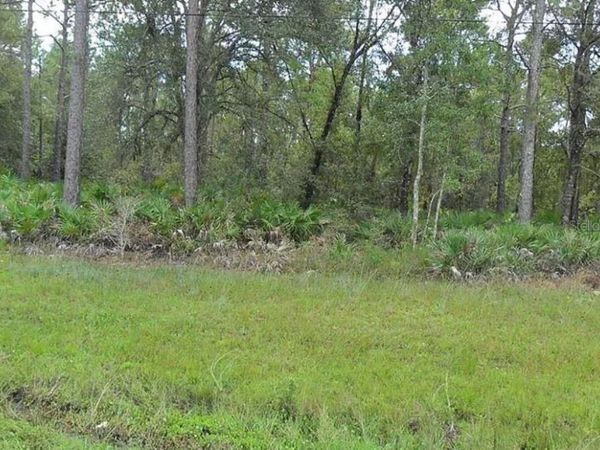 E COLONIAL DRIVE , CHRISTMAS, FL 32709