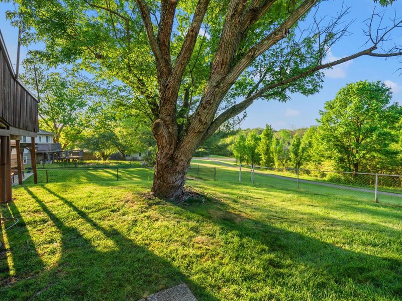 7781 Bridgegate Court, Florence, KY 41042 Photo 22