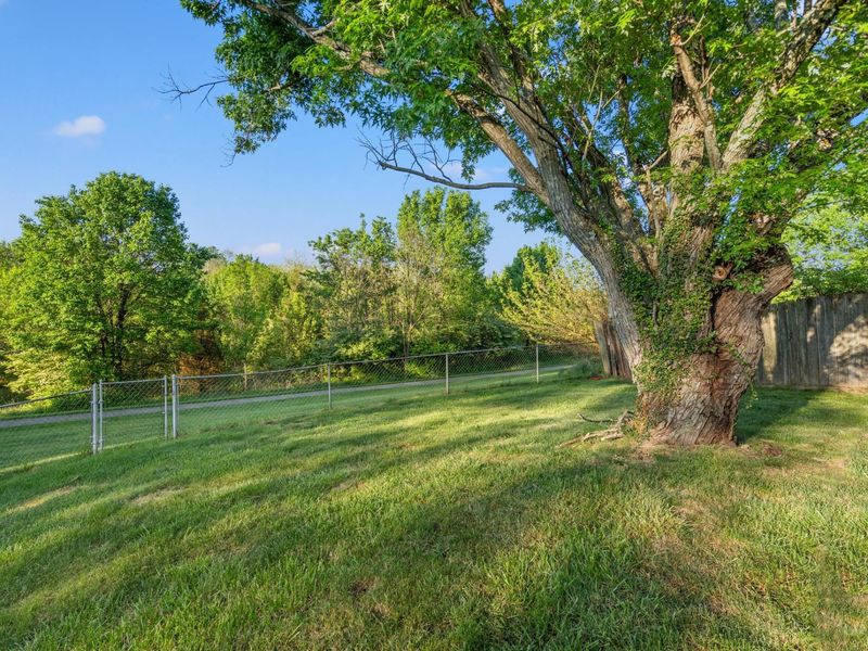 7781 Bridgegate Court, Florence, KY 41042 Photo 3