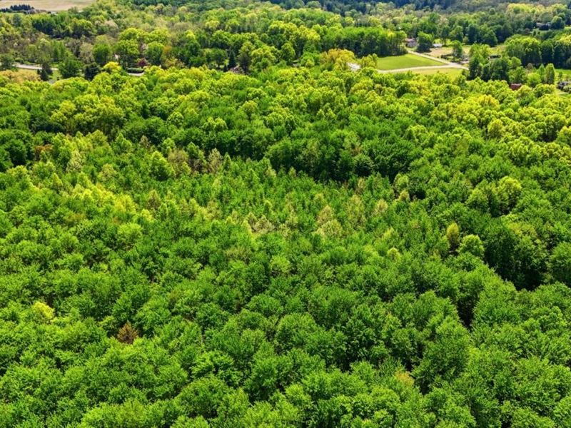 0 State Route 131, Goshen, OH 45122 Photo 10