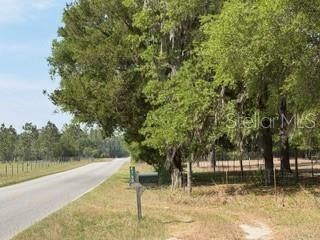 4760 NW 55th Avenue , Bell, FL 32619 Photo