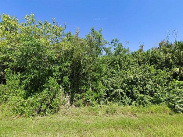 14276 MYAKKA AVENUE , PORT CHARLOTTE, FL 33953