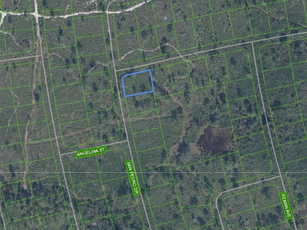 4724 SAN PEDRO DRIVE , SEBRING, FL 33872