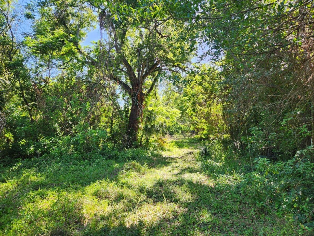 3898 & 3910 W Washington Street, Orlando, FL 32805 Photo