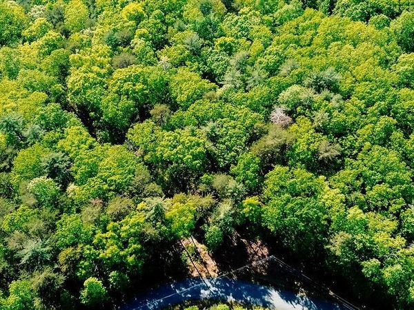 19 Amicalola Drive , Dawsonville, GA 30534