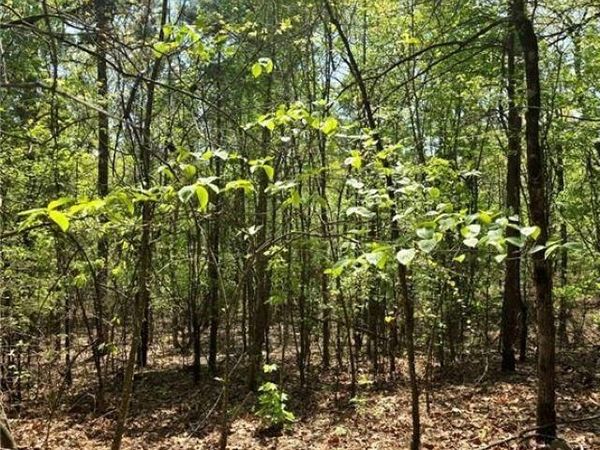 FSR 1471 , Clarksville, AR 72830