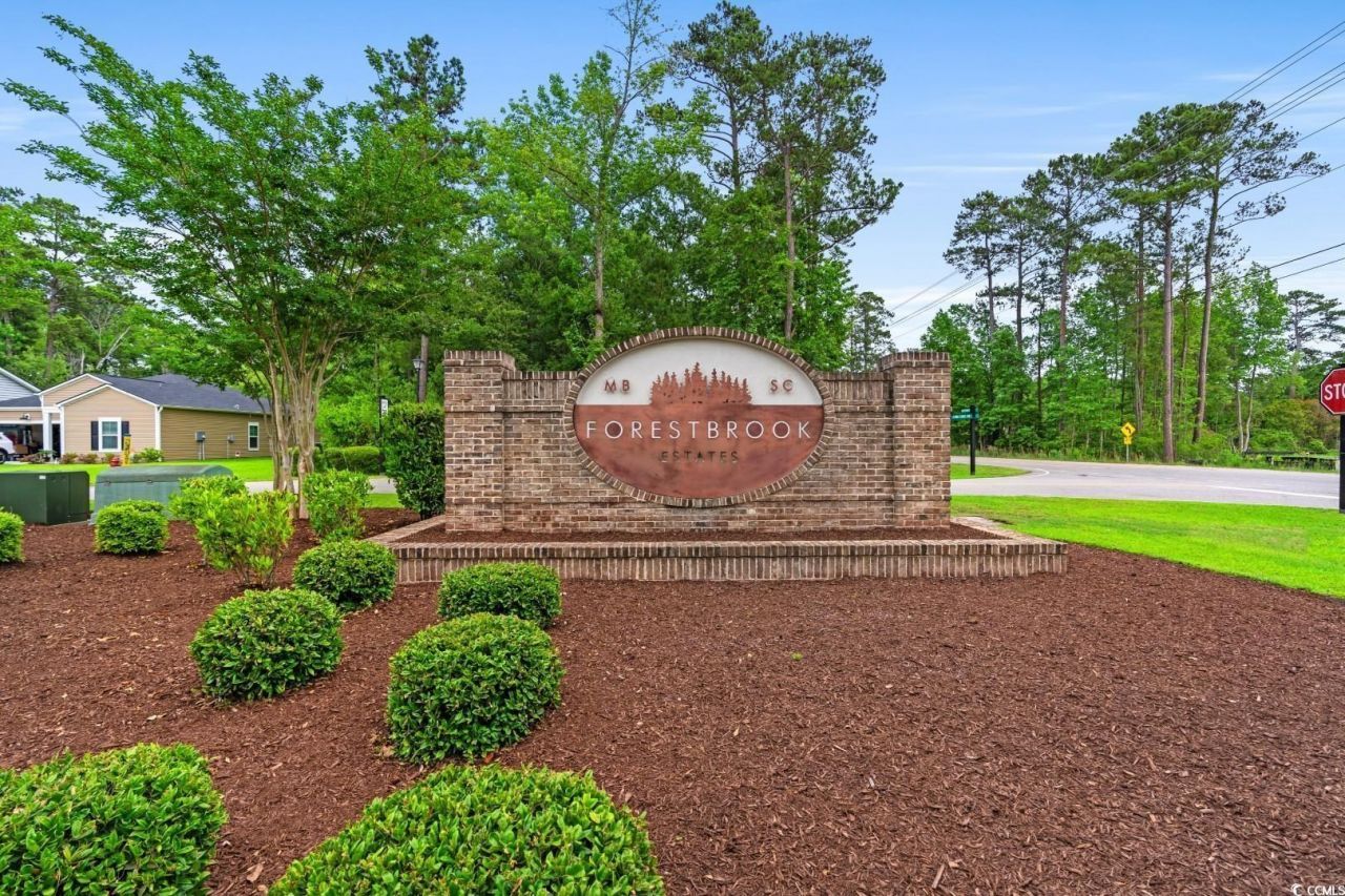 8196 Forest Edge Dr. Photo 58