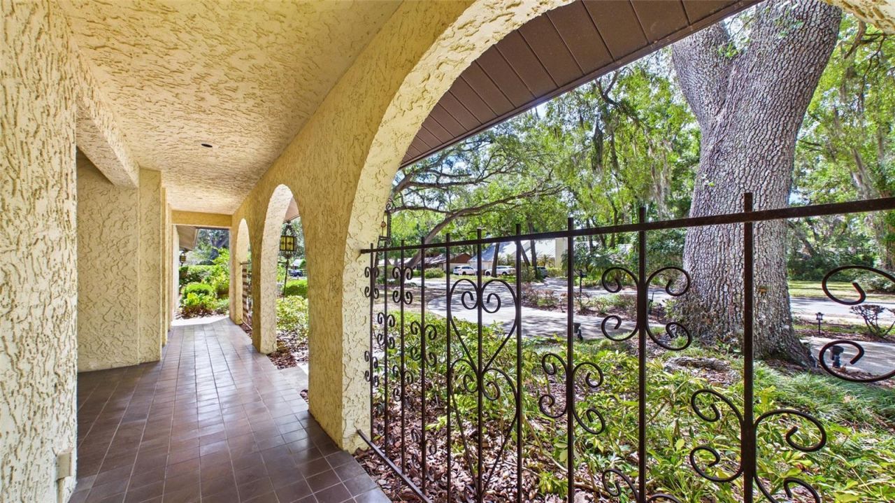 1116 N Riverhills Drive, Temple Terrace, FL 33617 Photo