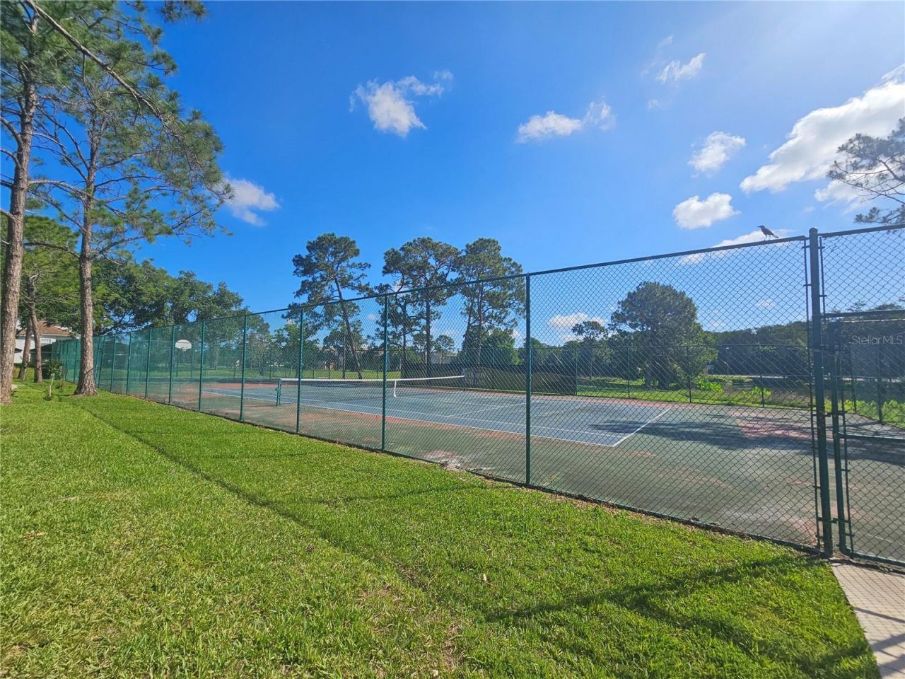 13838 Fairway Island Drive, Unit 1418, Orlando, FL 32837 Photo
