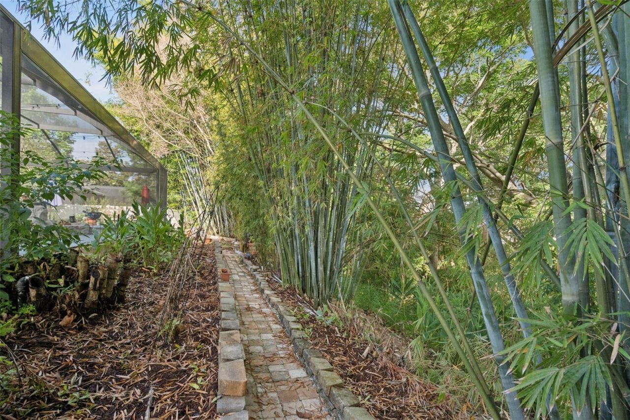 505 E Gulley Avenue, Oakland, FL 34787 Photo