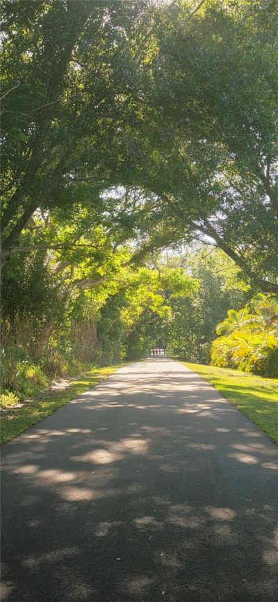 505 E Gulley Avenue, Oakland, FL 34787 Photo