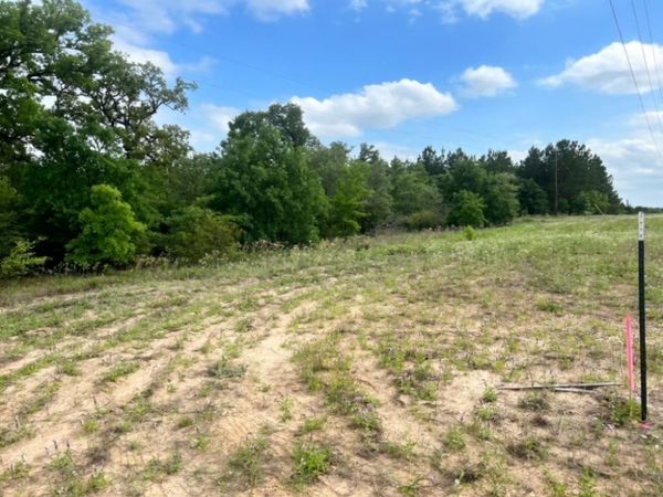 000 Ponderosa Loop LOOP, Paige, TX 78602