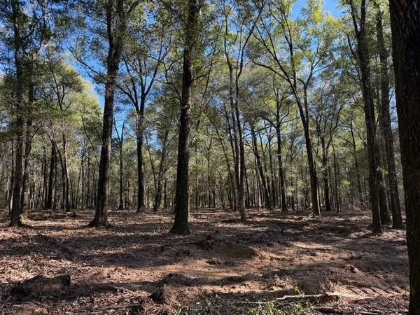 0 Danner Road, Wilmer, AL 36587