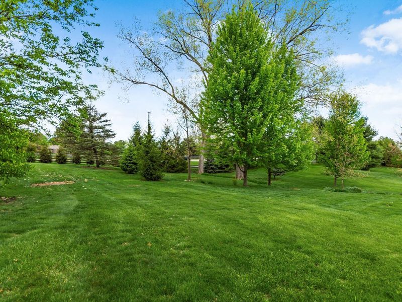 9100 Muirkirk Drive, Dublin, OH 43017 Photo 50