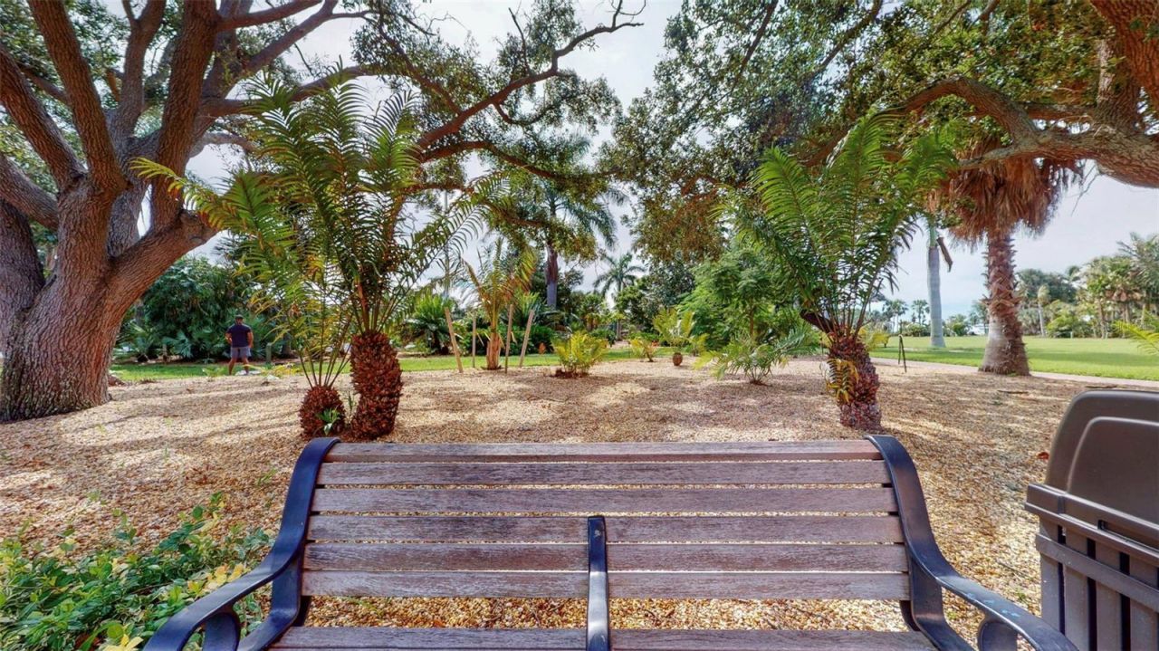 1120 N Shore Drive Ne, Unit 501, Saint Petersburg, FL 33701 Photo