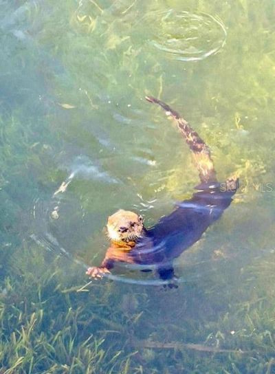 6448 W Richard Drive , Weeki Wachee, FL 34607 Photo