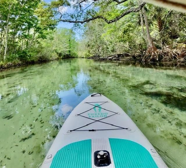 6448 W Richard Drive , Weeki Wachee, FL 34607 Photo