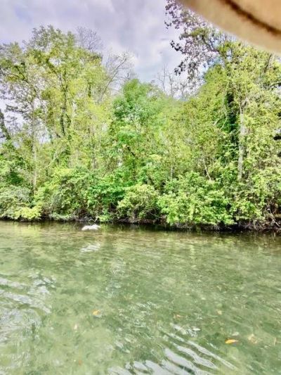 6448 W Richard Drive , Weeki Wachee, FL 34607 Photo