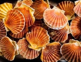 6448 W Richard Drive , Weeki Wachee, FL 34607 Photo