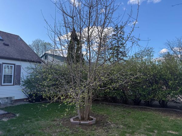 618 13th Avenue N, South Saint Paul, MN 55075