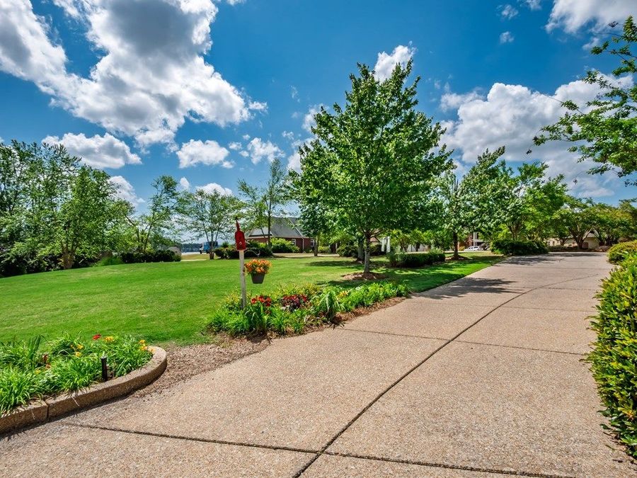 Property Image 68