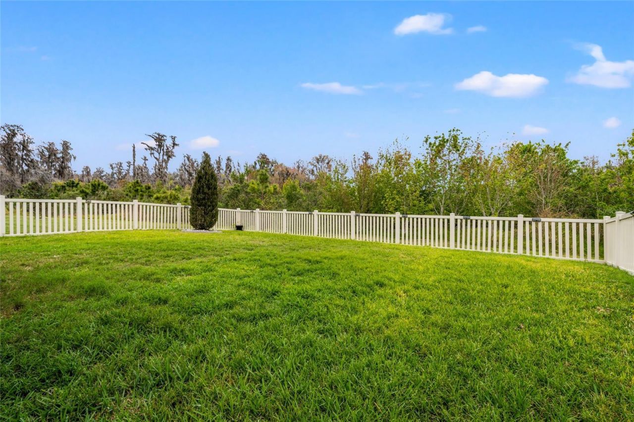 10480 Hawks Landing Drive, Land O Lakes, FL 34638 Photo