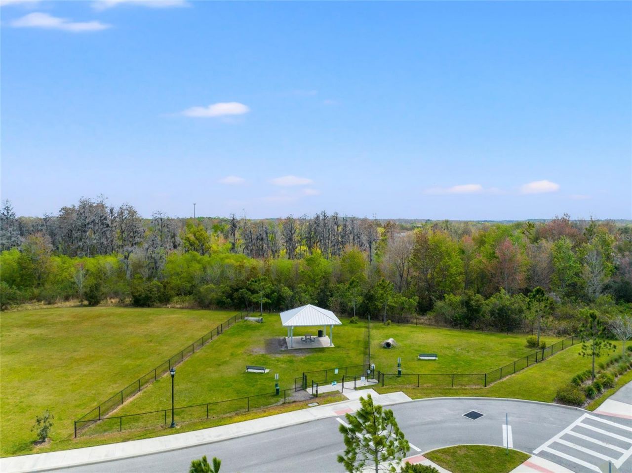 10480 Hawks Landing Drive, Land O Lakes, FL 34638 Photo