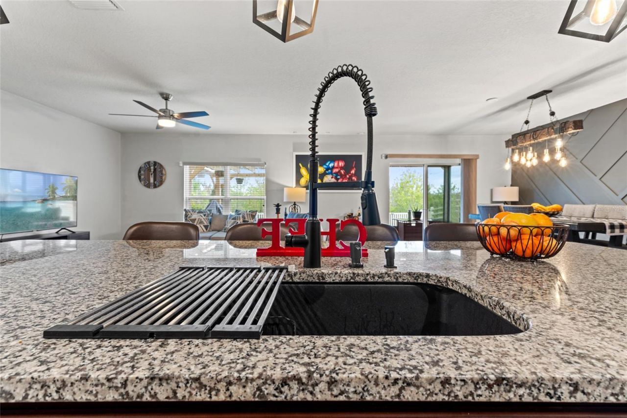 10480 Hawks Landing Drive, Land O Lakes, FL 34638 Photo