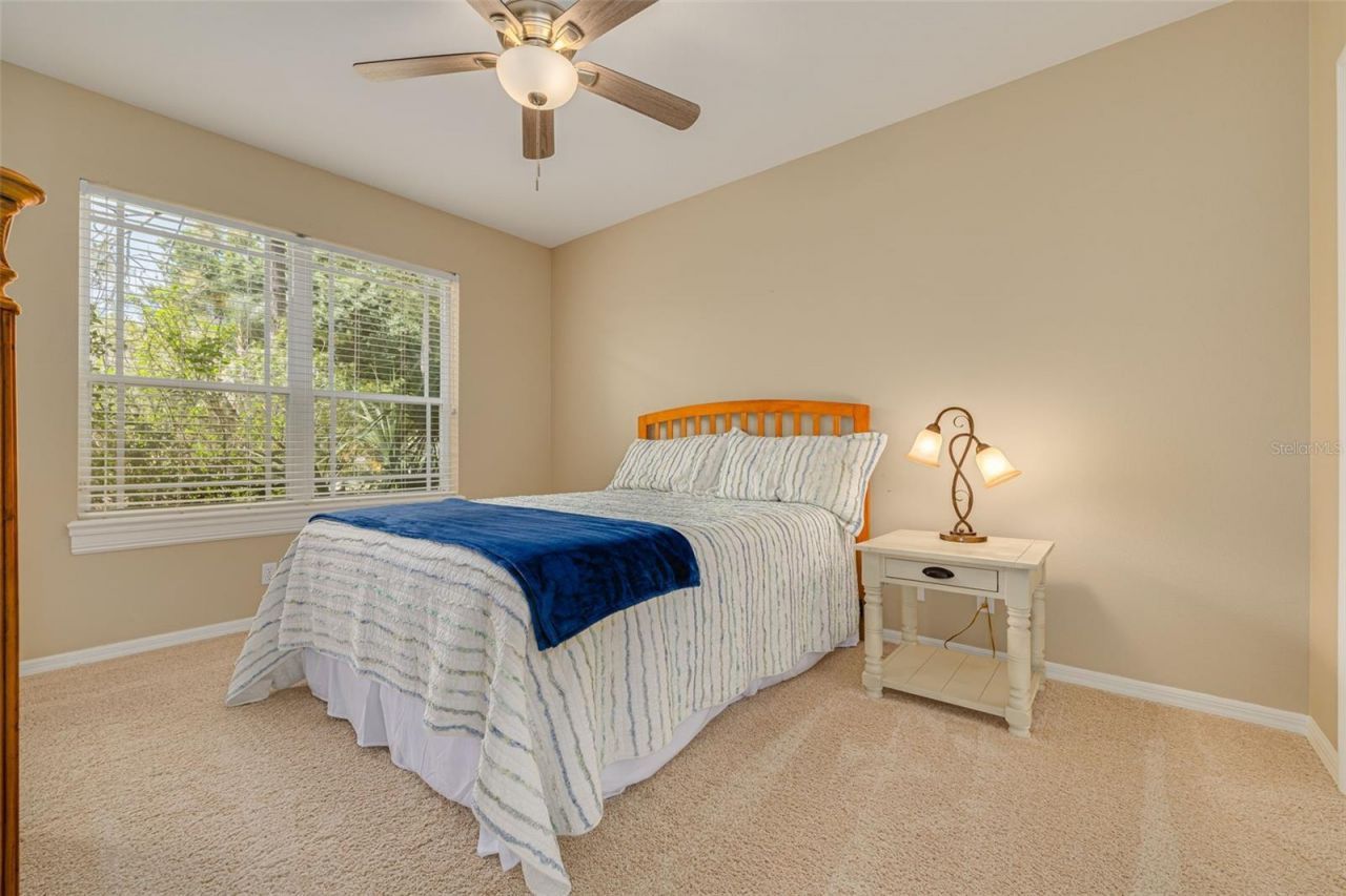3652 Justin Drive, Palm Harbor, FL 34685 Photo