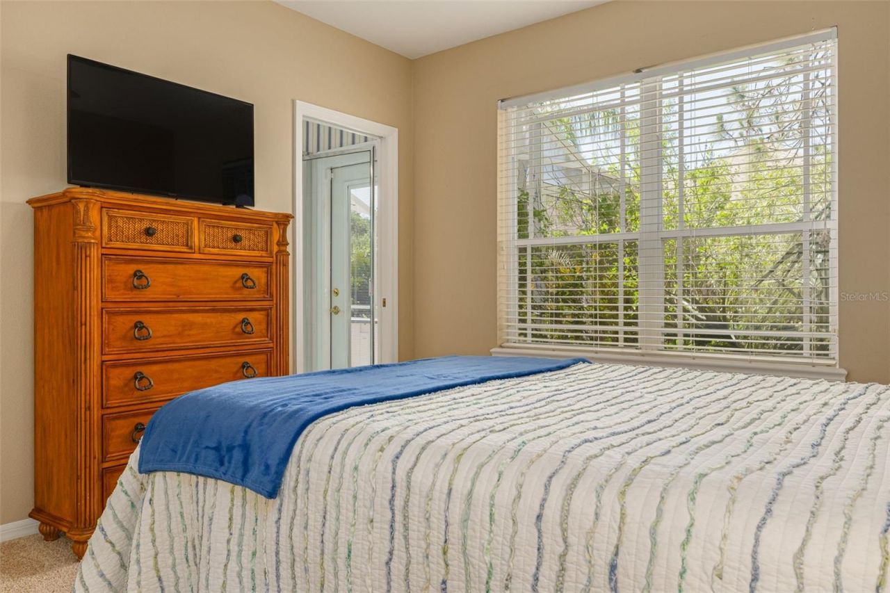 3652 Justin Drive, Palm Harbor, FL 34685 Photo