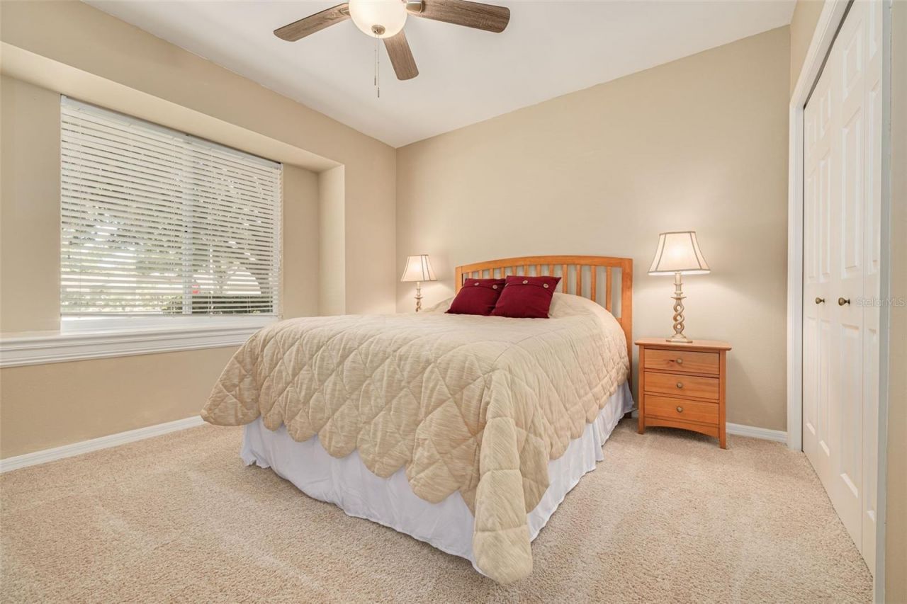 3652 Justin Drive, Palm Harbor, FL 34685 Photo