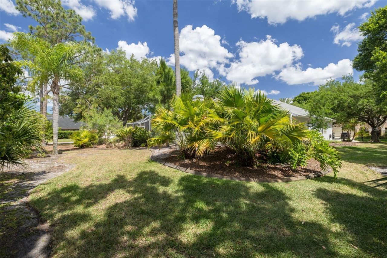 3652 Justin Drive, Palm Harbor, FL 34685 Photo