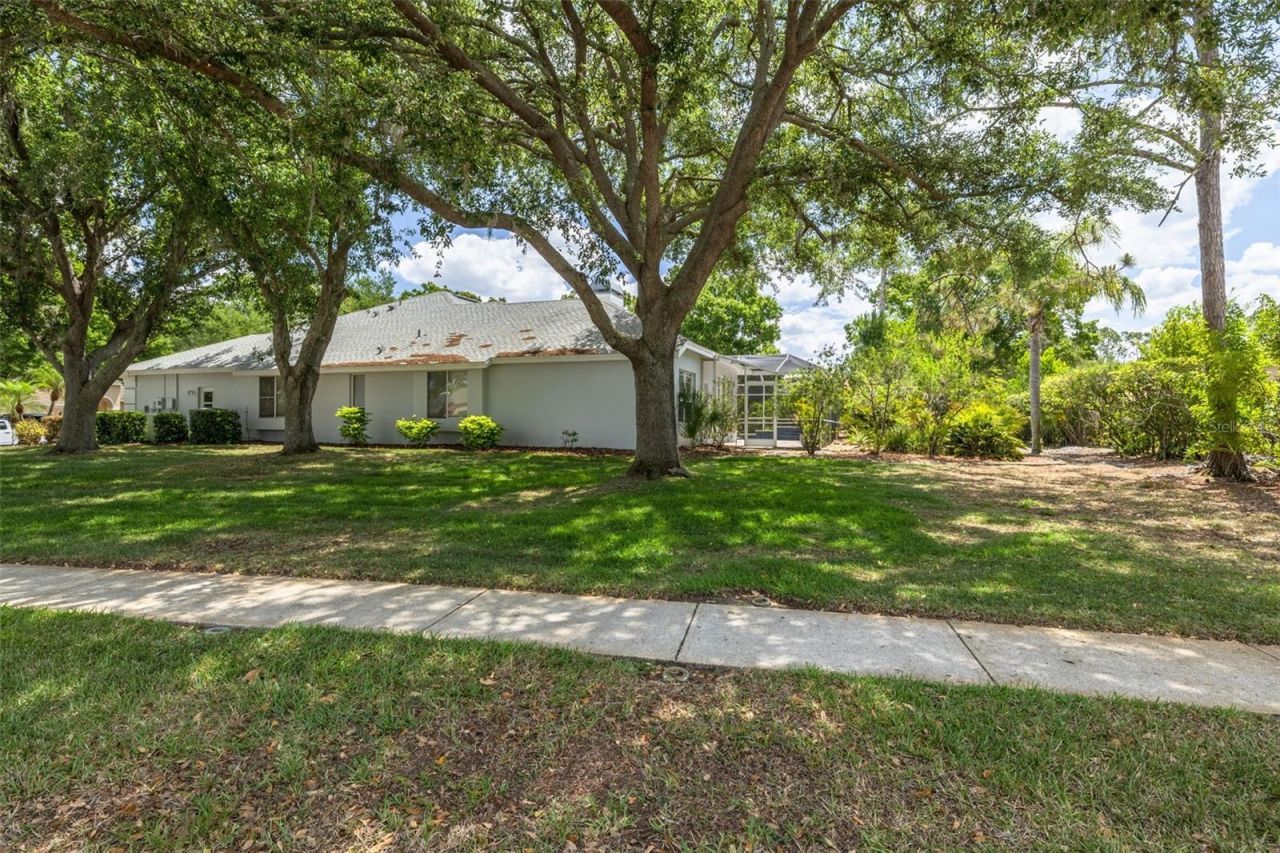 3652 Justin Drive, Palm Harbor, FL 34685 Photo