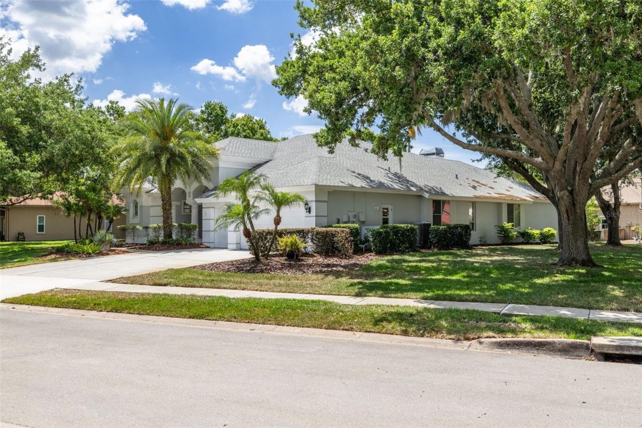3652 Justin Drive, Palm Harbor, FL 34685 Photo