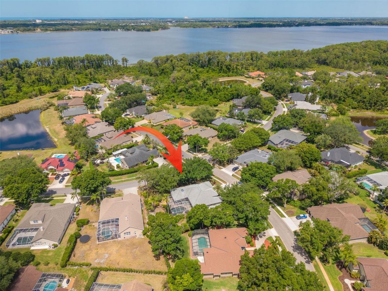 3652 Justin Drive, Palm Harbor, FL 34685 Photo