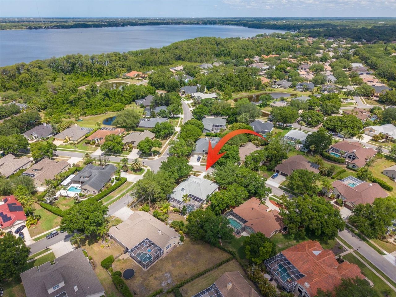 3652 Justin Drive, Palm Harbor, FL 34685 Photo