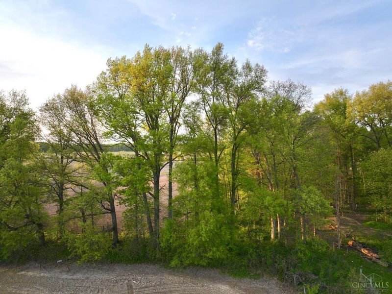 0 Schwallie Road, Jackson Twp, OH 45171 Photo 20