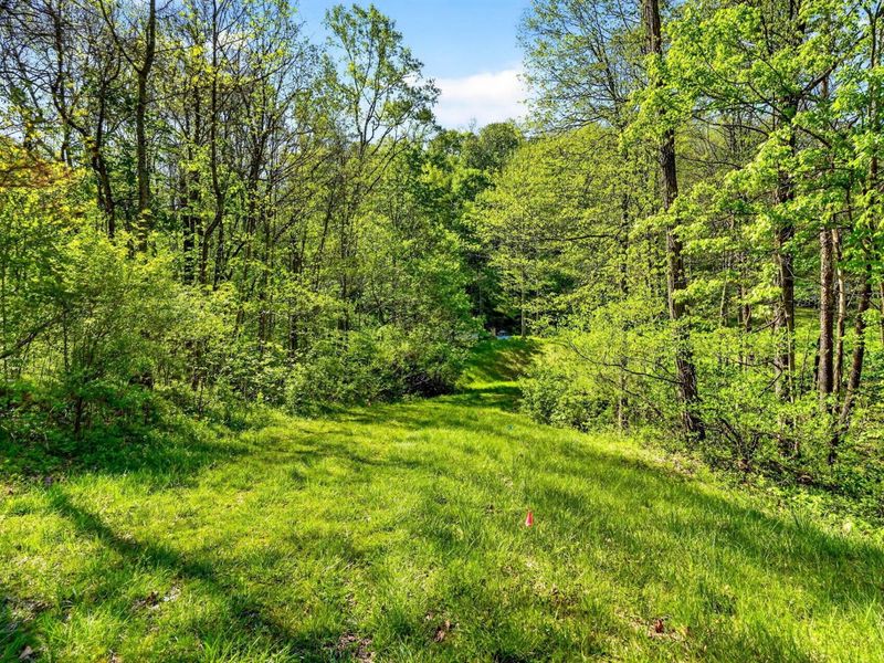 15955 Fossil Rock Road , Athens, OH 45701 Photo 17