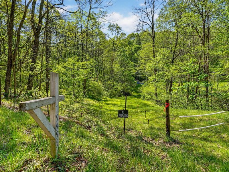 15955 Fossil Rock Road , Athens, OH 45701 Photo 3