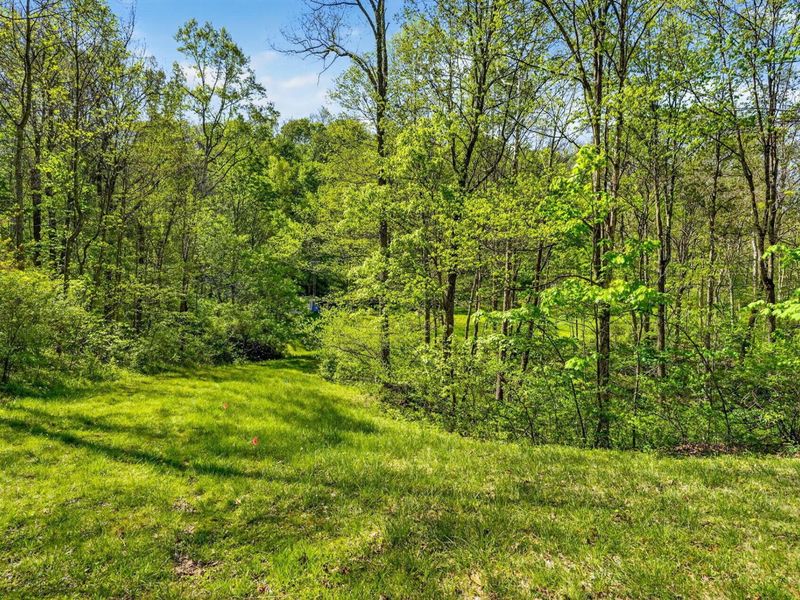 15955 Fossil Rock Road , Athens, OH 45701 Photo 4