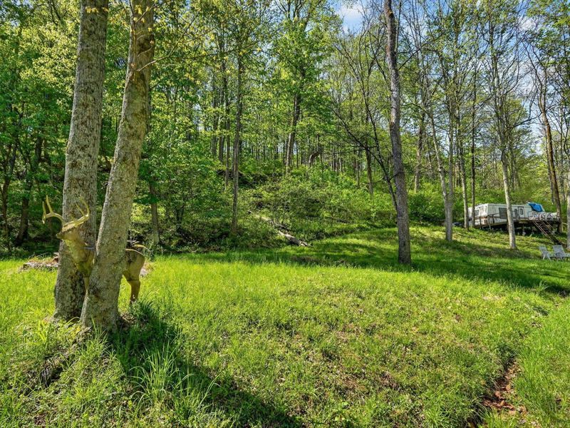15955 Fossil Rock Road , Athens, OH 45701 Photo 7
