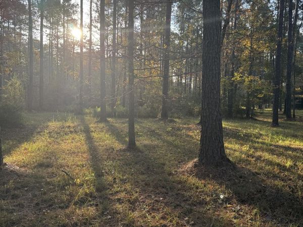 219 Ocracoke Drive , Oriental, NC 28571