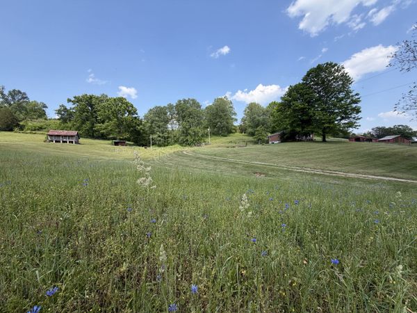 5170 Steam Mill Hollow Road Tract 2 , Williamsport, TN 38487