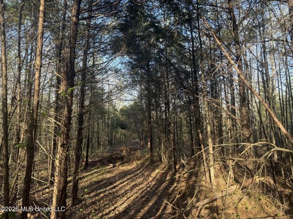 Robert Ford Road, Waterford, MS 38685