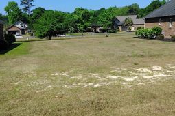 510 Oak Hill Drive photo 4