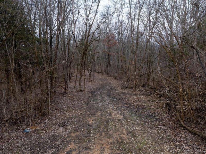 13 Lawrenceville Road, Unit 13, Williamstown, KY 41097 Photo 2