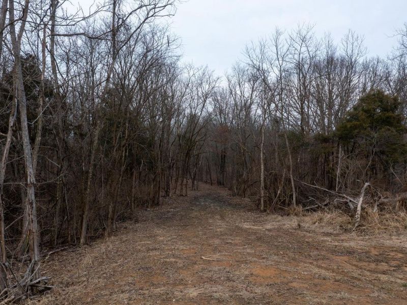 13 Lawrenceville Road, Unit 13, Williamstown, KY 41097 Photo 4