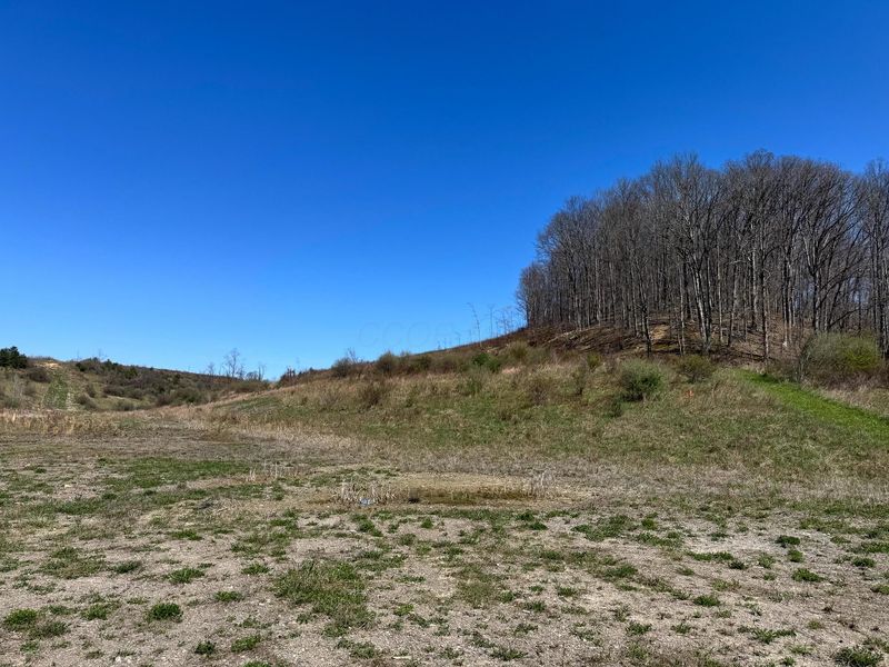 0 Sulphur Spring Road SE, Unit (105 Acre , New Lexington, OH 43764 Photo 10