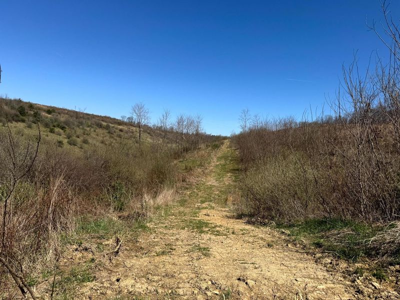 0 Sulphur Spring Road SE, Unit (105 Acre , New Lexington, OH 43764 Photo 12