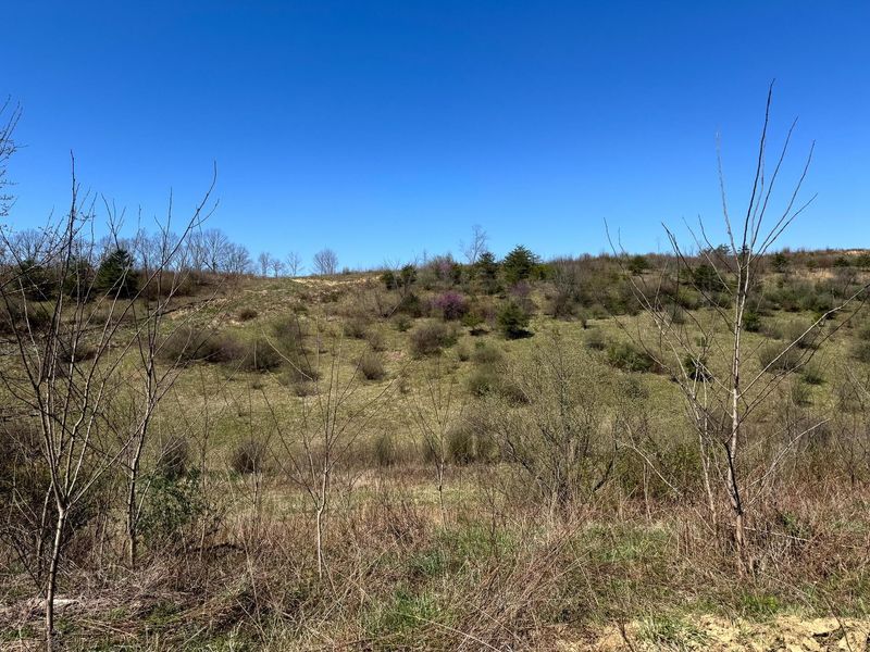 0 Sulphur Spring Road SE, Unit (105 Acre , New Lexington, OH 43764 Photo 13